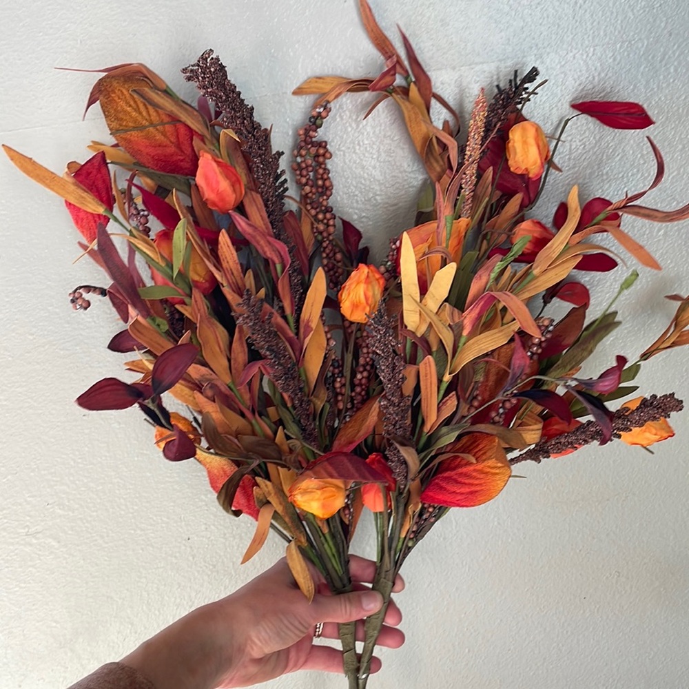 Fall foliage
